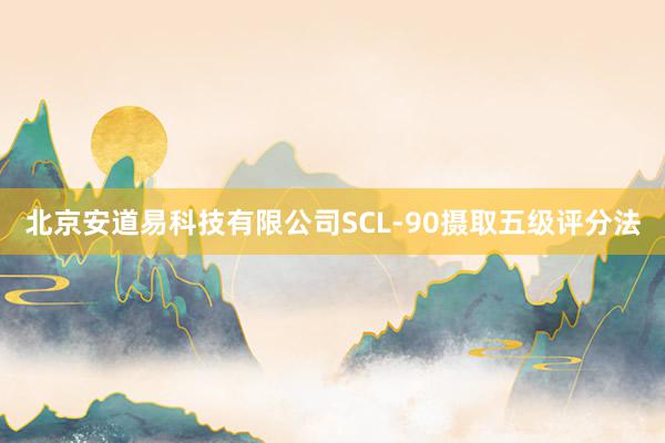 北京安道易科技有限公司SCL-90摄取五级评分法